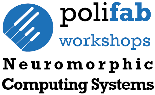 Seminary On Neuromorphic Computing Systems PoliFAB