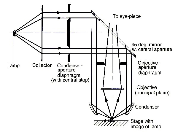 Optical Microscope – Nikon Eclipse ME600 | PoliFAB